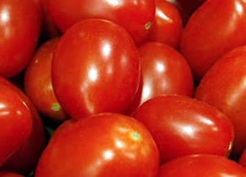 Toasted Shrimp and Tomato Recipe Toasted Shrimp and Tomato Recipe