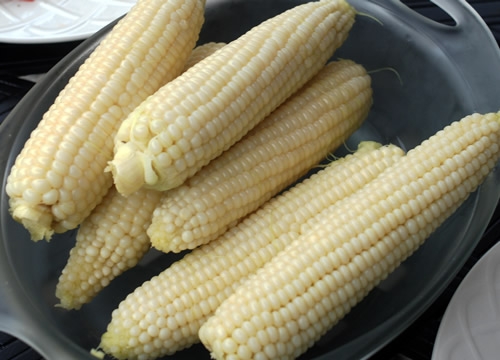 Jersey Sweet Corn Jersey Sweet Corn