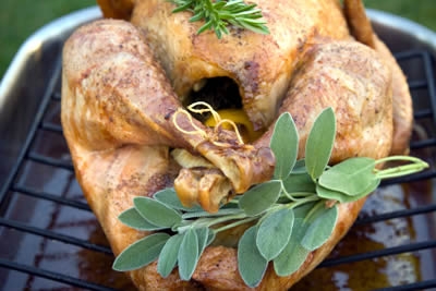 Thanksgiving Dinner Help Thanksgiving Dinner Help