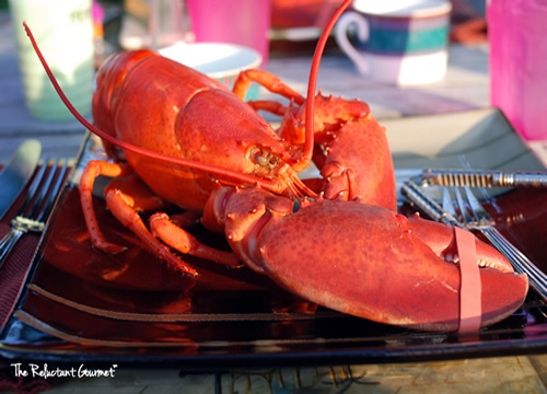 Buying Lobster Buying Lobster