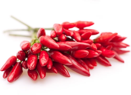 Cooking with Hot Peppers Cooking with Hot Peppers