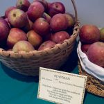 Historic Harriton House Apple Tasting Historic Harriton House Apple Tasting
