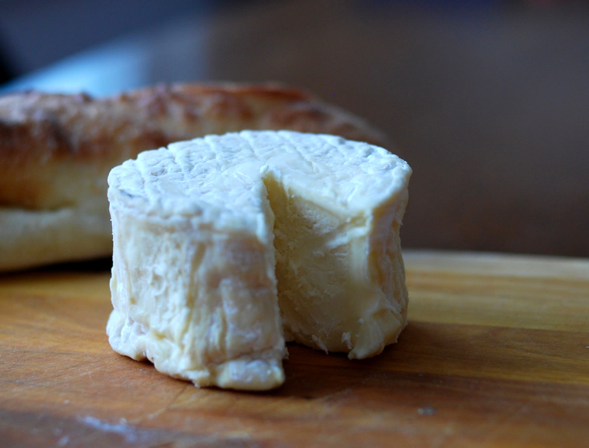 La Tur Cheese