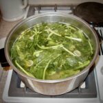 Orecchiette and Broccoli Rabe
