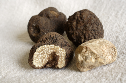 all about truffles