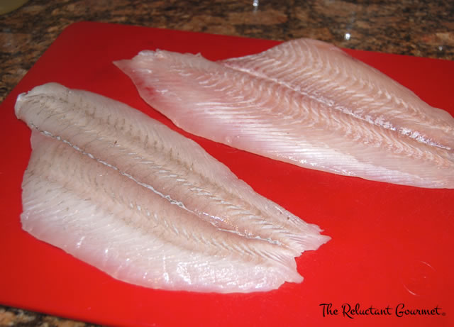 Yellowtail Flounder