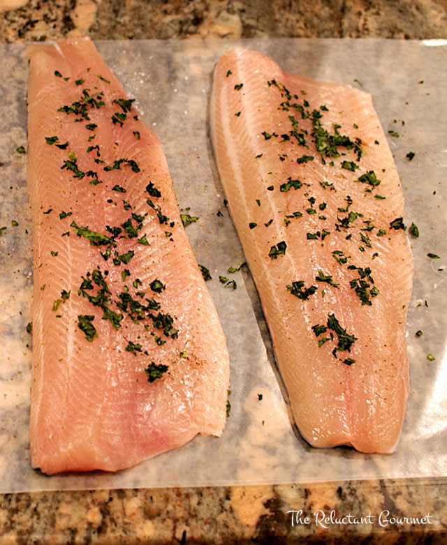 Fresh Rainbow Trout