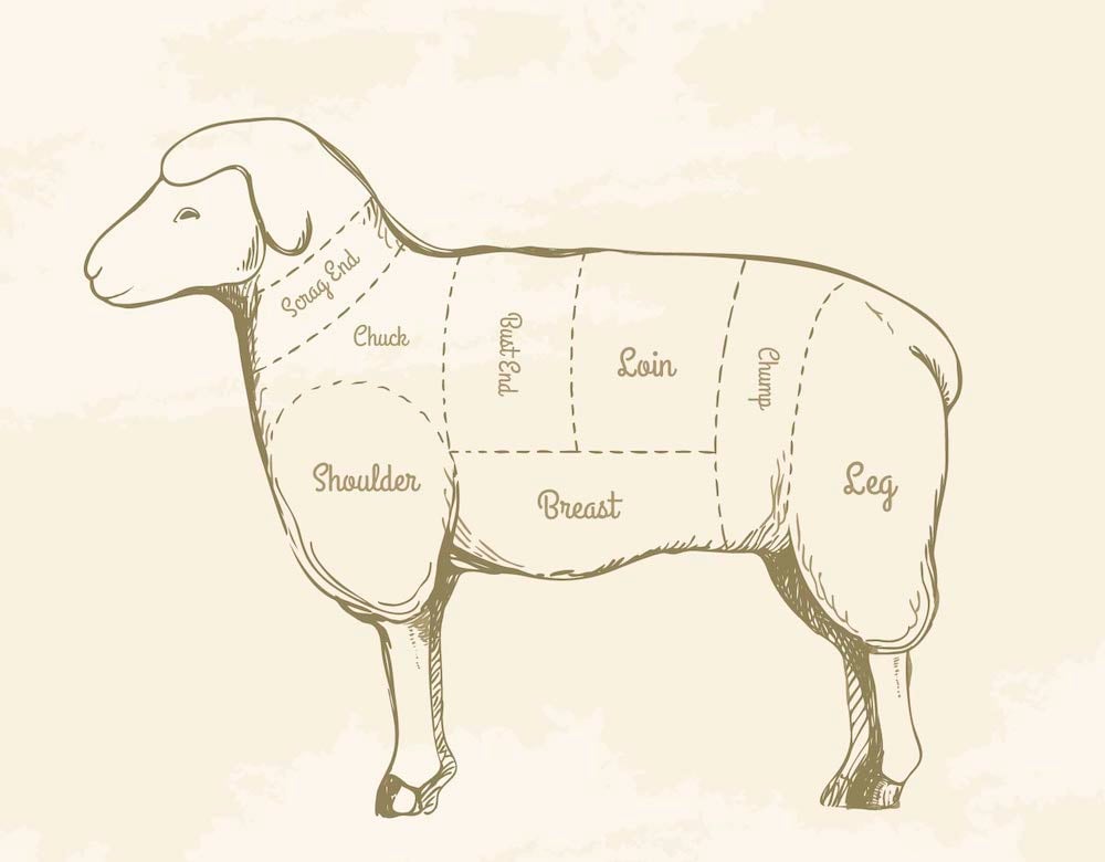 English Lamb Cuts Chart
