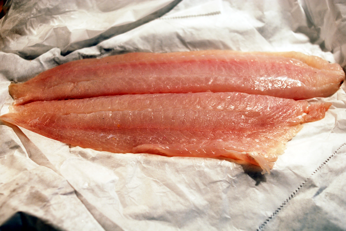 Flounder Filets