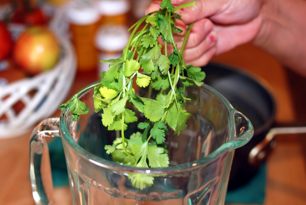 Cilantro