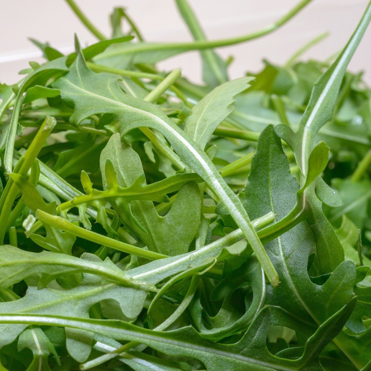 Agrugula Greens
