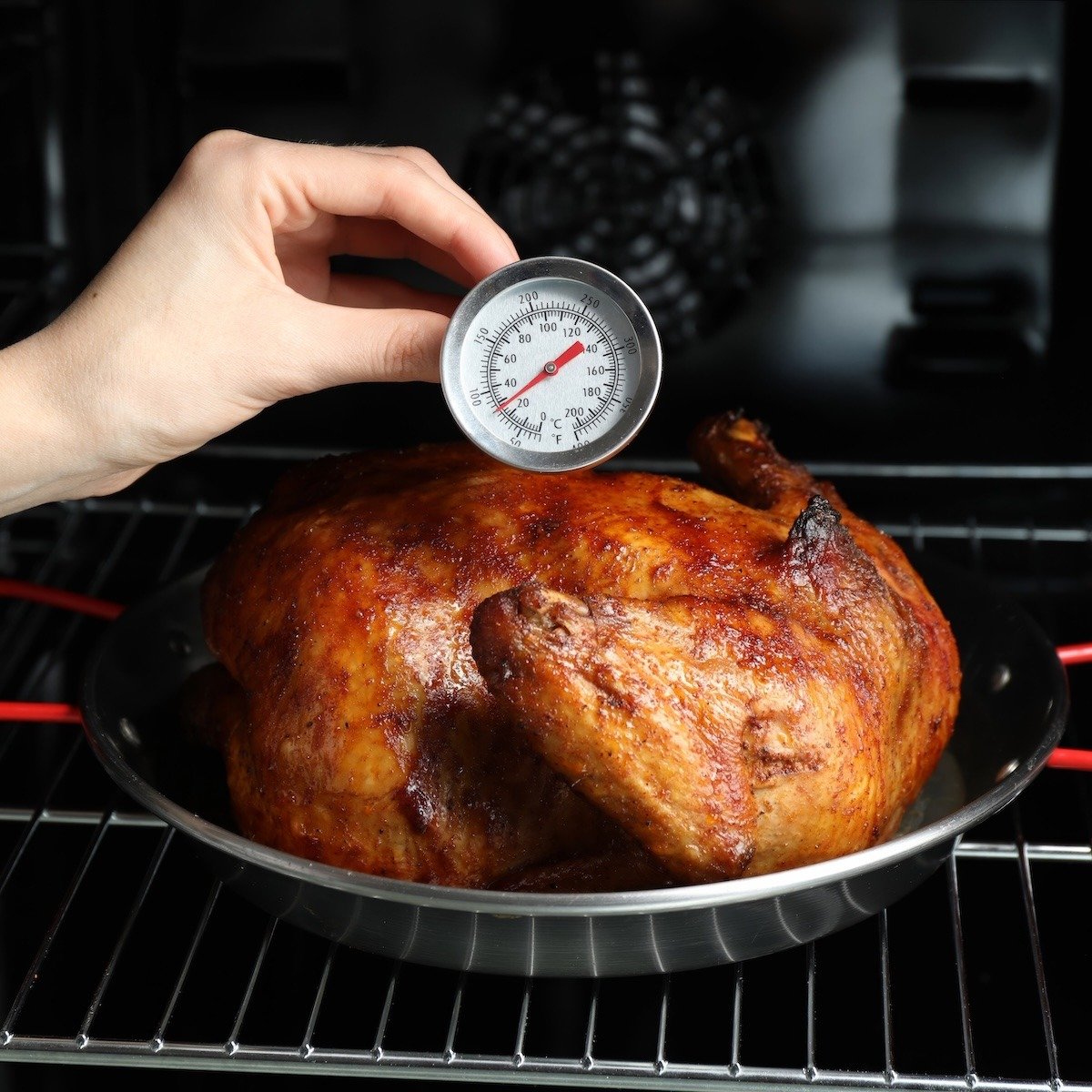 FAQ On Chicken